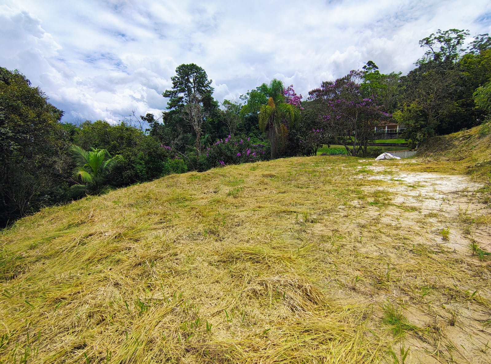 🌄 terreno com vista e platÔ! natureza + praticidade a 8min do centro - biritiba mirim