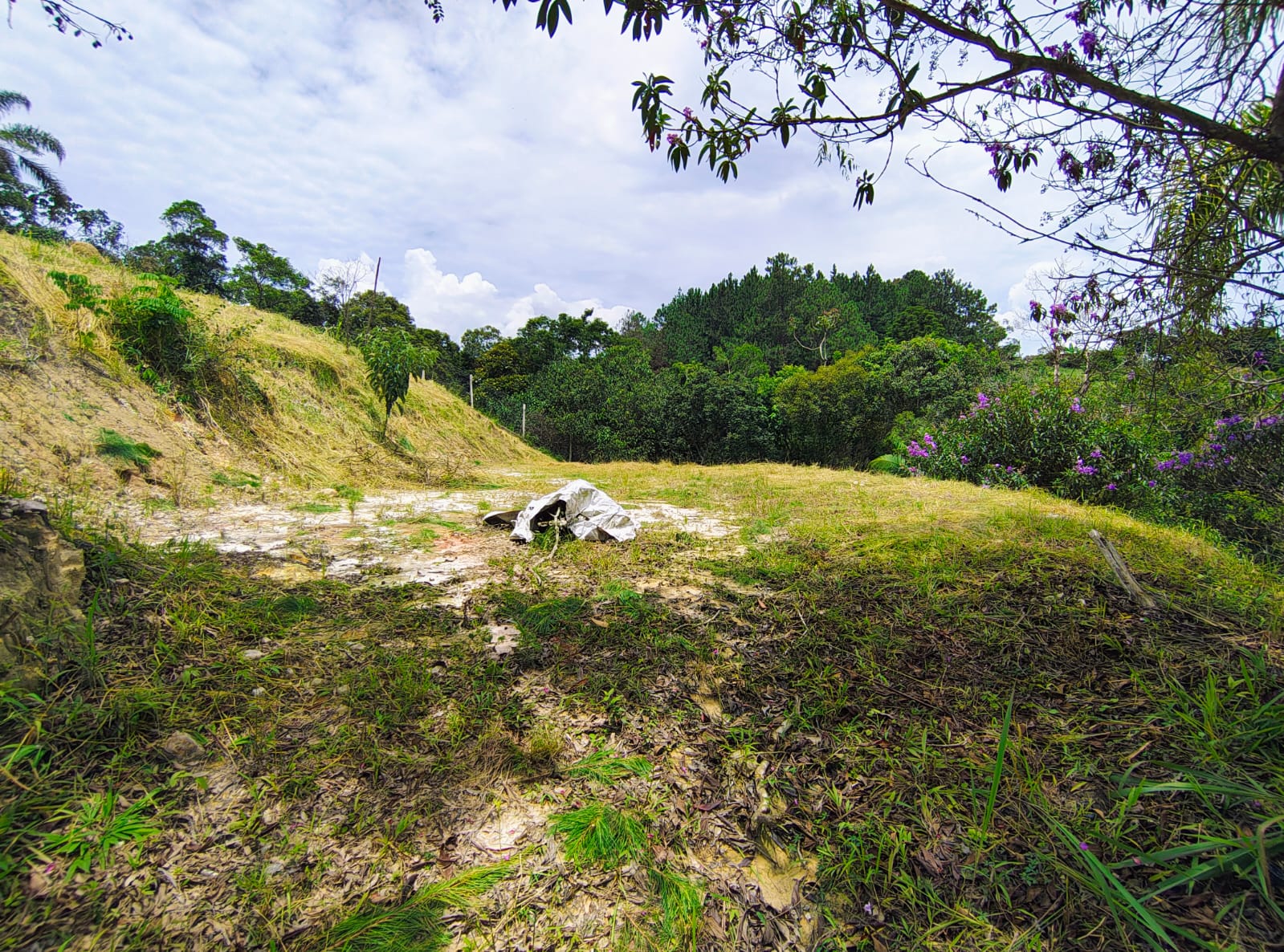 🌄 terreno com vista e platÔ! natureza + praticidade a 8min do centro - biritiba mirim