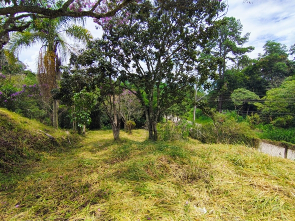 🌄 terreno com platÔ! natureza + praticidade a 8min do centro - biritiba mirim