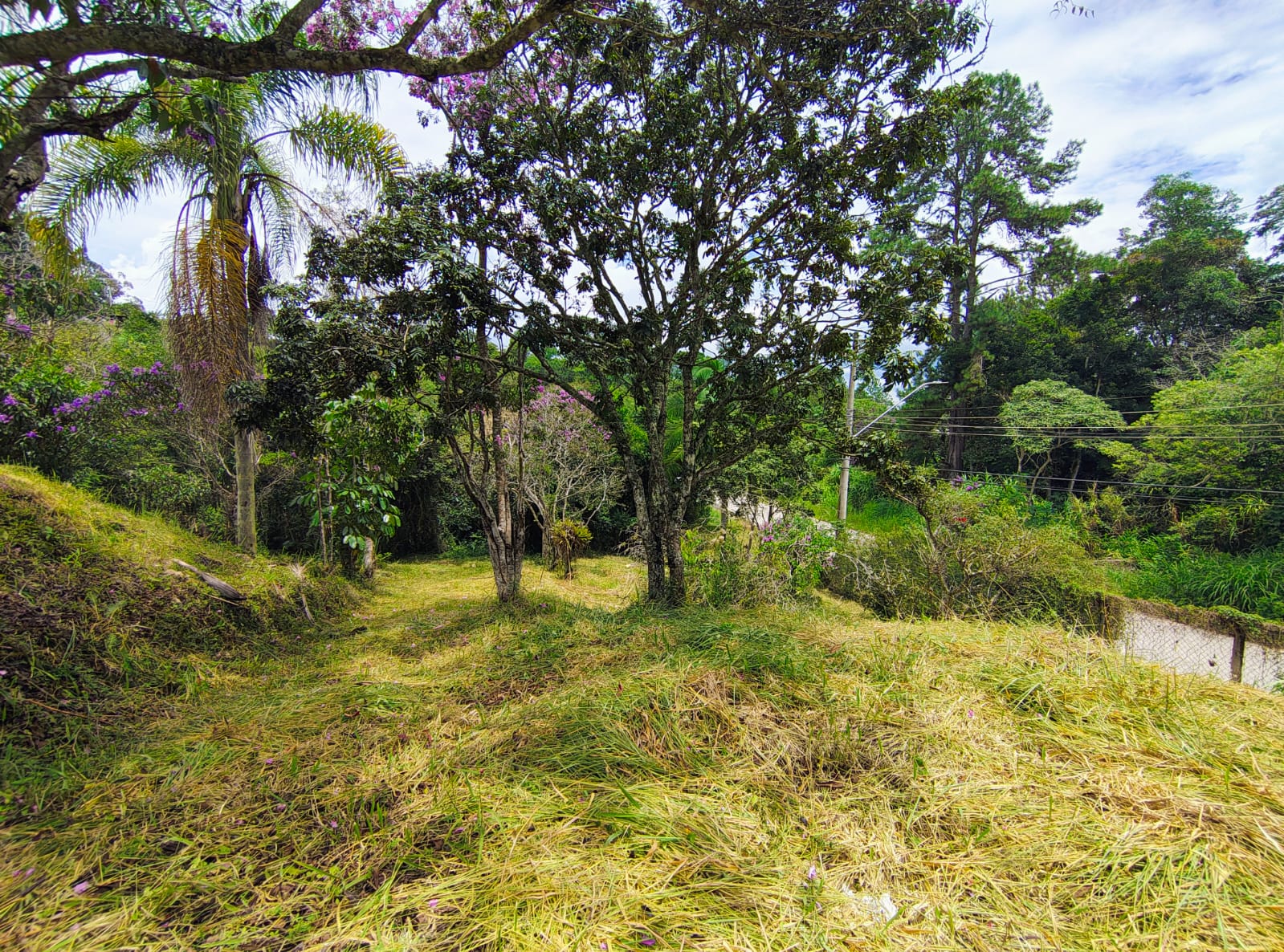 🌄 terreno com platÔ! natureza + praticidade a 8min do centro - biritiba mirim