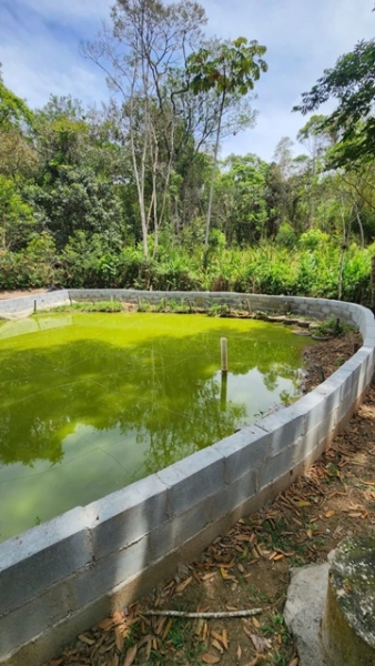 ChÁcara À venda no nirvana, biritiba mirim/sp valor: r$ 420.000,00