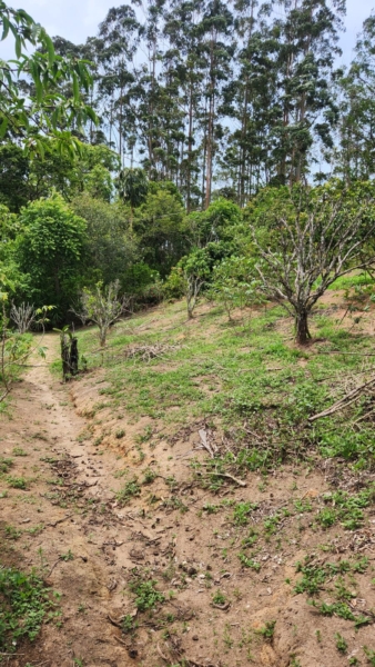 ChÁcara À venda no nirvana, biritiba mirim/sp valor: r$ 420.000,00