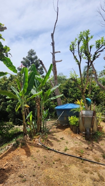 ChÁcara À venda no nirvana, biritiba mirim/sp valor: r$ 420.000,00