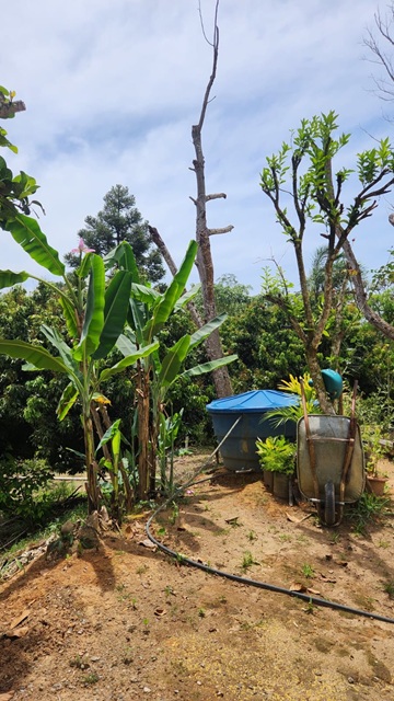 ChÁcara À venda no nirvana, biritiba mirim/sp valor: r$ 420.000,00