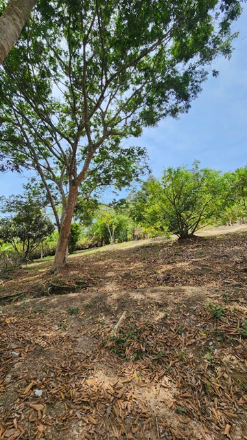 ChÁcara À venda no nirvana, biritiba mirim/sp valor: r$ 420.000,00