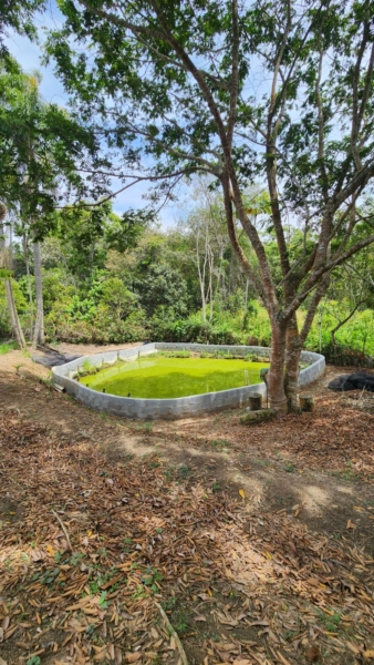 ChÁcara À venda no nirvana, biritiba mirim/sp valor: r$ 420.000,00