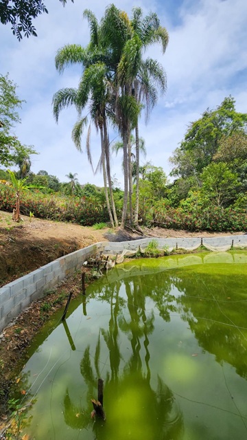 ChÁcara À venda no nirvana, biritiba mirim/sp valor: r$ 420.000,00