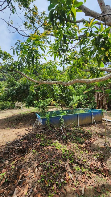 ChÁcara À venda no nirvana, biritiba mirim/sp valor: r$ 420.000,00