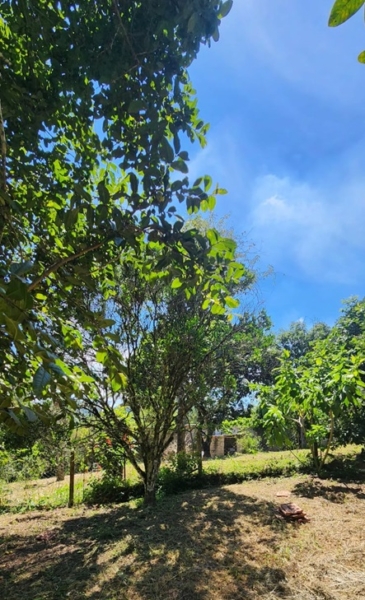 Chácara pé no asfalto biritiba mirim 6 dormitórios apenas 430 mil