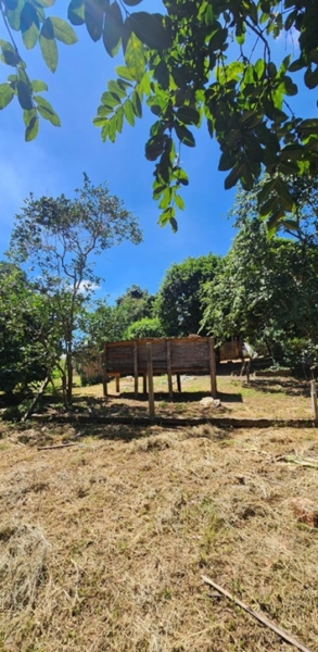 Chácara pé no asfalto biritiba mirim 6 dormitórios apenas 430 mil