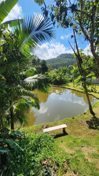 Chácara sagrada família um paraíso próximo a capital e litoral