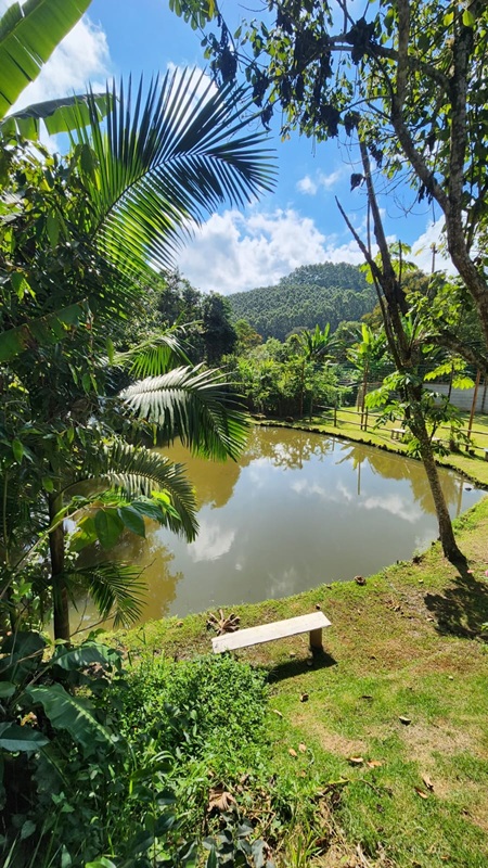 Chácara sagrada família um paraíso próximo a capital e litoral
