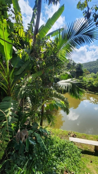 Chácara sagrada família um paraíso próximo a capital e litoral