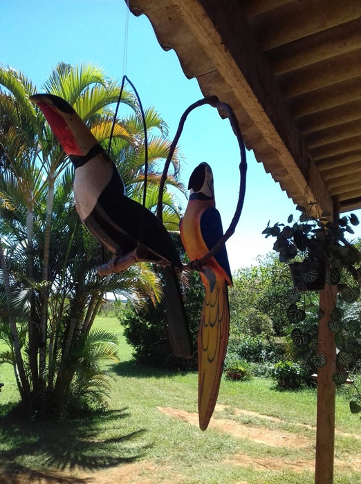 Chácara para alugar em taiaçupeba – fundo para represa