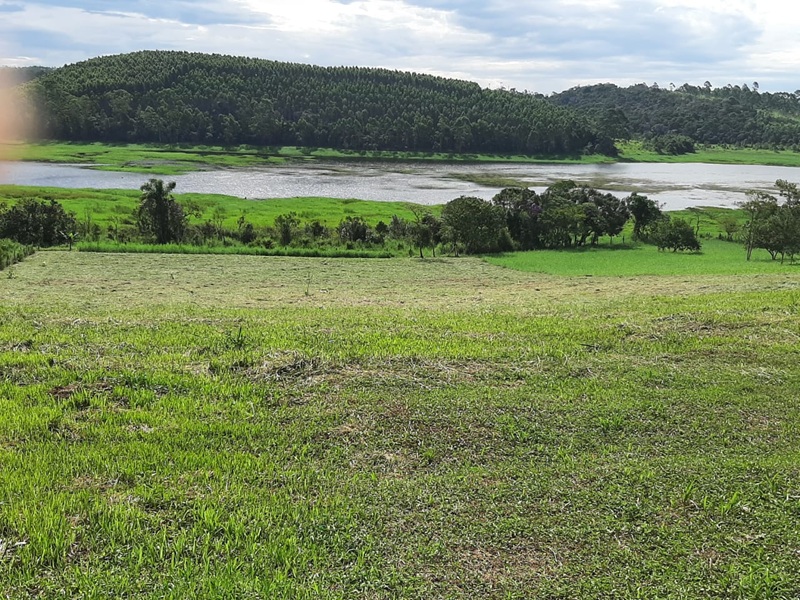 Chácara para alugar em taiaçupeba – fundo para represa